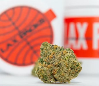 Lax - TOMMY'S Z | 3.5G | INDICA