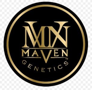 Maven - GOLD BLEND | UBE CREME | 1G