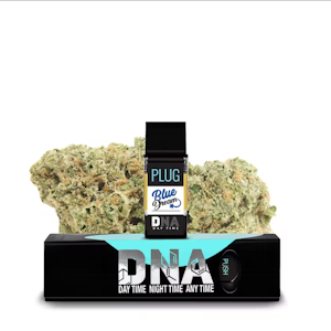 Plugplay - BLUE DREAM DNA 1G SATIVA