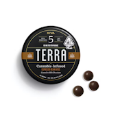 TERRA DARK CHOCOLATE ESPRESSO BEANS | 100MG | HYBRID