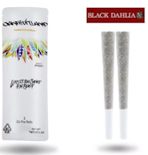 BLACK DAHLIA | 2 X 1G | PREROLL PK | INDICA